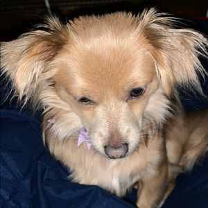 Meet your Posher, Tony